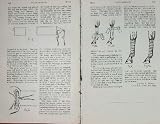 Folk Art in America: Painting and Sculpture (Antiques Magazine Library)