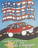United Tates of America : a scrapbook novel
