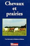 Chevaux et prairies