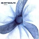 Seed by  Afro Celt Sound System 