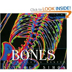 Bones: Our Skeletal System (Human Body)