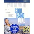 Cool Hand Luke / Luke la main froide (Bilingual) [Blu-ray]