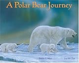 A Polar Bear Journey