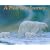 A Polar Bear Journey