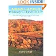 Absolutely Positively Connecticut: More Stories from the Award-Winning WTNH-TV Series Now Seen on CPTV (Broadcast... by  Diane Smith