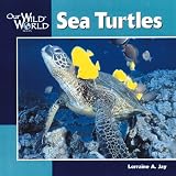 Books : Sea Turtles (Our Wild World)