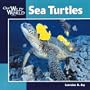Sea Turtles (Our Wild World)