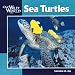 Sea Turtles (Our Wild World)