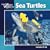 Sea Turtles (Our Wild World)
