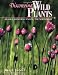 Discovering Wild Plants: Alaska, Western Canada, The Northwest