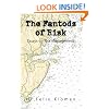 The Fantods of Risk: Essays on Risk Management