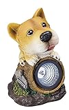 エイチツーオー 子犬付スポット型ソーラーライト 柴犬 H160