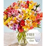 100 Blooms