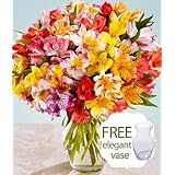 100 Blooms Peruvian Lilies w/Free Elegant Glass Vase