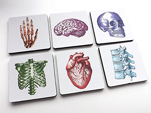 colorful square Anatomy Coasters 3.5" set of 6 rubber / neoprene medical student graduation gift box