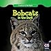 Bobcats in the Dark (Creatures of the Night)