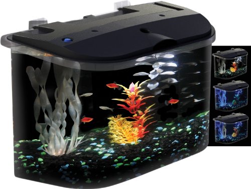 Aquarius Aq15005 Aquarius 5 Rounded 5-Gallon Aquarium Kit