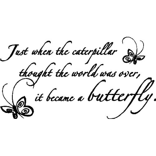 JUST WHEN THE....BUTTERFLY WALL SAYINGS QUOTES LETTERING