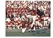 Gino Cappelletti Autographed/Hand Signed New England Patriots 8x10 Photo