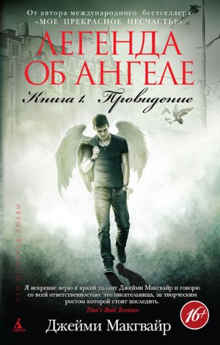 Legenda ob angele. Kniga 1. Providenie