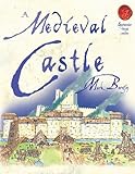 A medieval castle