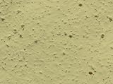 BL Plantable Wildflower Seed Paper in Chartreuse