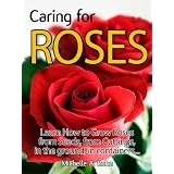 Caring for Roses -