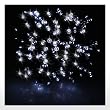 17m Waterproof 100 LED Solar Fairy Lights (White) Garden Xmas Party
