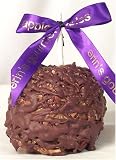 erin's sugarfree pecans with milk chocolate apple