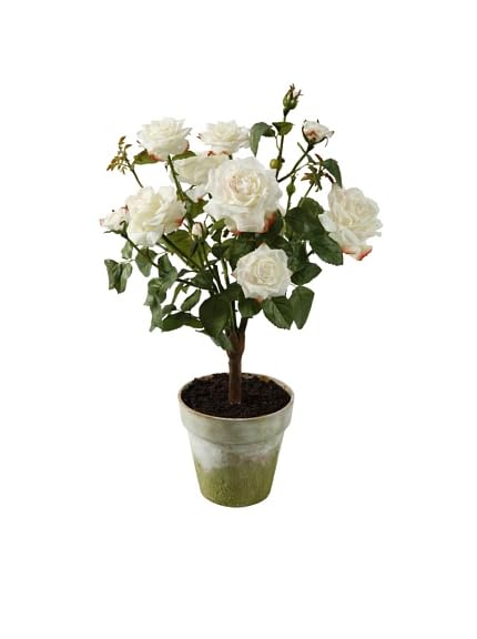 Winward Potted Faux Garden Rose, Champagne