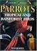 Parrots, Tropical and Rainforest Birds (Nature Watch)