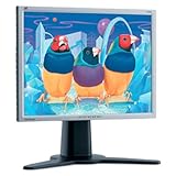 ViewSonic Pro Series 20" LCD Monitor (Silver)