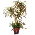 Forever Silk Calming Palm Plant