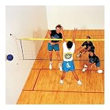 Official Wallyball Game Kit