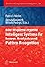 Bio-Inspired Hybrid Intelligent Systems for Image Analysis and Pattern Recognition (Studies in Computational Intelligence, 256)