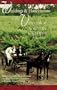 Weddings & Honeymoons in the Vineyards of Northern California