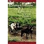 Weddings & Honeymoons in the Vineyards of Northern California