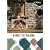 Nordic Ski Walking DVD