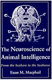 The Neuroscience of Animal Intelligence: From the Seahare to the Seahorse