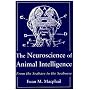 The Neuroscience of Animal Intelligence: From the Seahare to the Seahorse (Animal Intelligence)