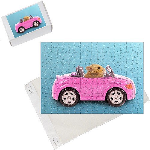 Jigsaw Puzzles Of La-3728-m1 Hamster Driving Miniature Sports Convertible Car From Ardea Picture