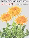 花のメモリー―KUMADA CHIKABO’S FLOWER WORLD