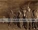1908 Gary Virginia Mule & Coal Miner Child Labor [16 x 20 Photograph]
