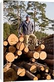 Canvas Prints of A forestry worker with a chain saw stands on a pile from ArcticPhoto