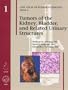 Tumors of the Kidney, Bladder and Related Urinary Structures 2004 (AFIP Atlas of Tumor Pathology 4th Series)