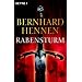 Rabensturm