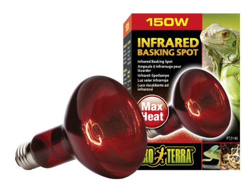 Exo Terra Heat-Glo Infrared Spot Lamp, 150-Watt/120-Volt