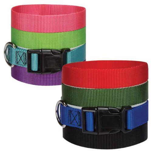 Guardian Gear Nylon Adjustable Dog Collar with Plastic Buckles, 3/4-Inch, Blue