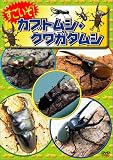 ��������! �J�u�g���V�E�N���K�^���V [DVD]