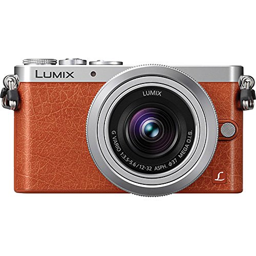 Panasonic DMC-GM1KD 12-32mm Silver Kit Lens 16MP Mirrorless Digital Camera with 3-Inch LCD (Orange)
